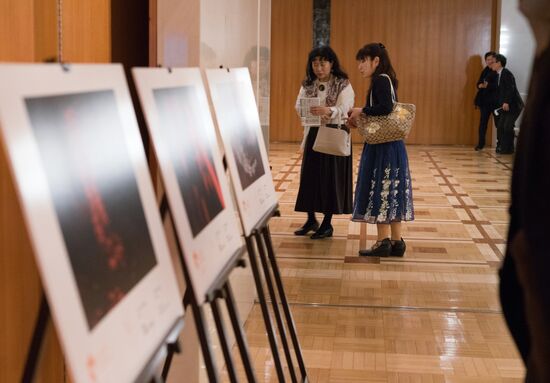Japan Stenin Photo Contest