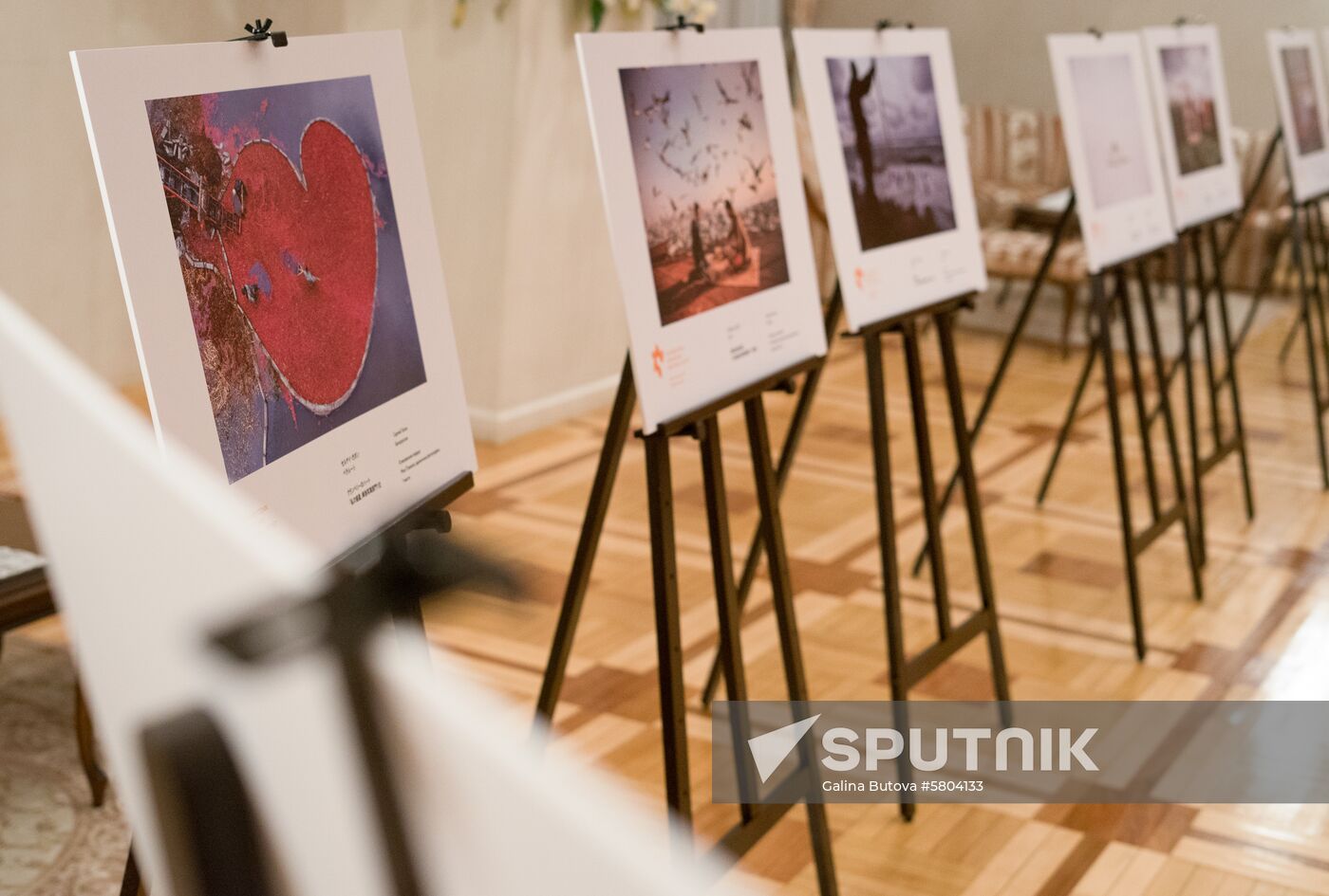 Japan Stenin Photo Contest