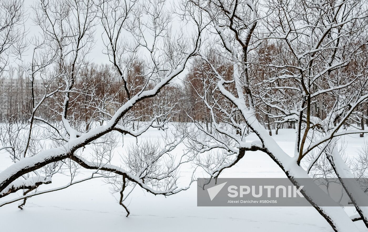 Russia Weather