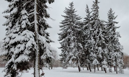 Russia Weather