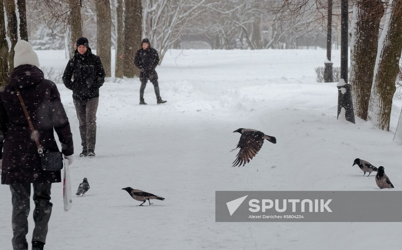 Russia Weather