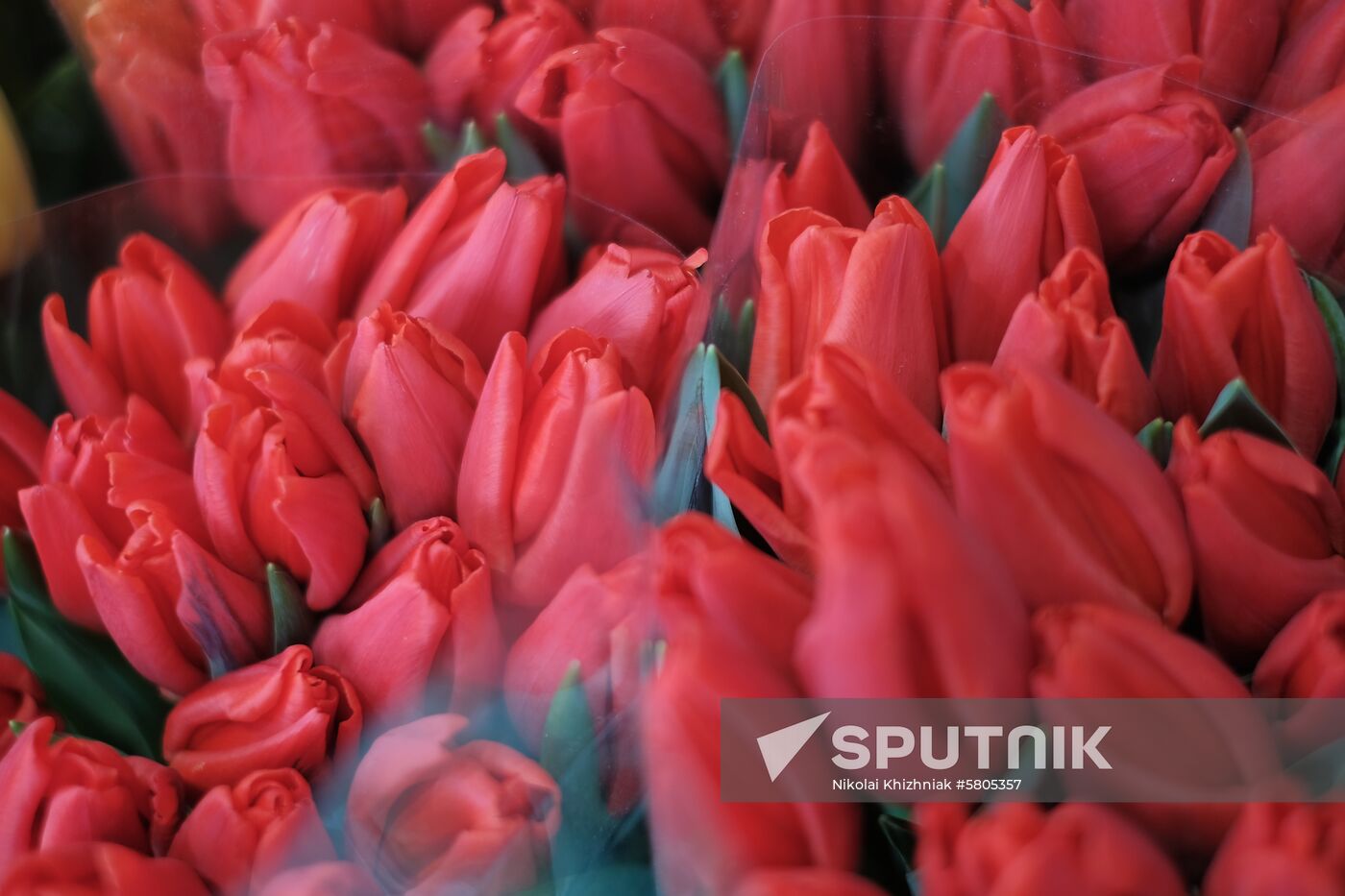 Russia Flowers On Sale