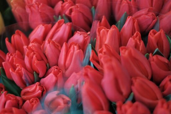 Russia Flowers On Sale