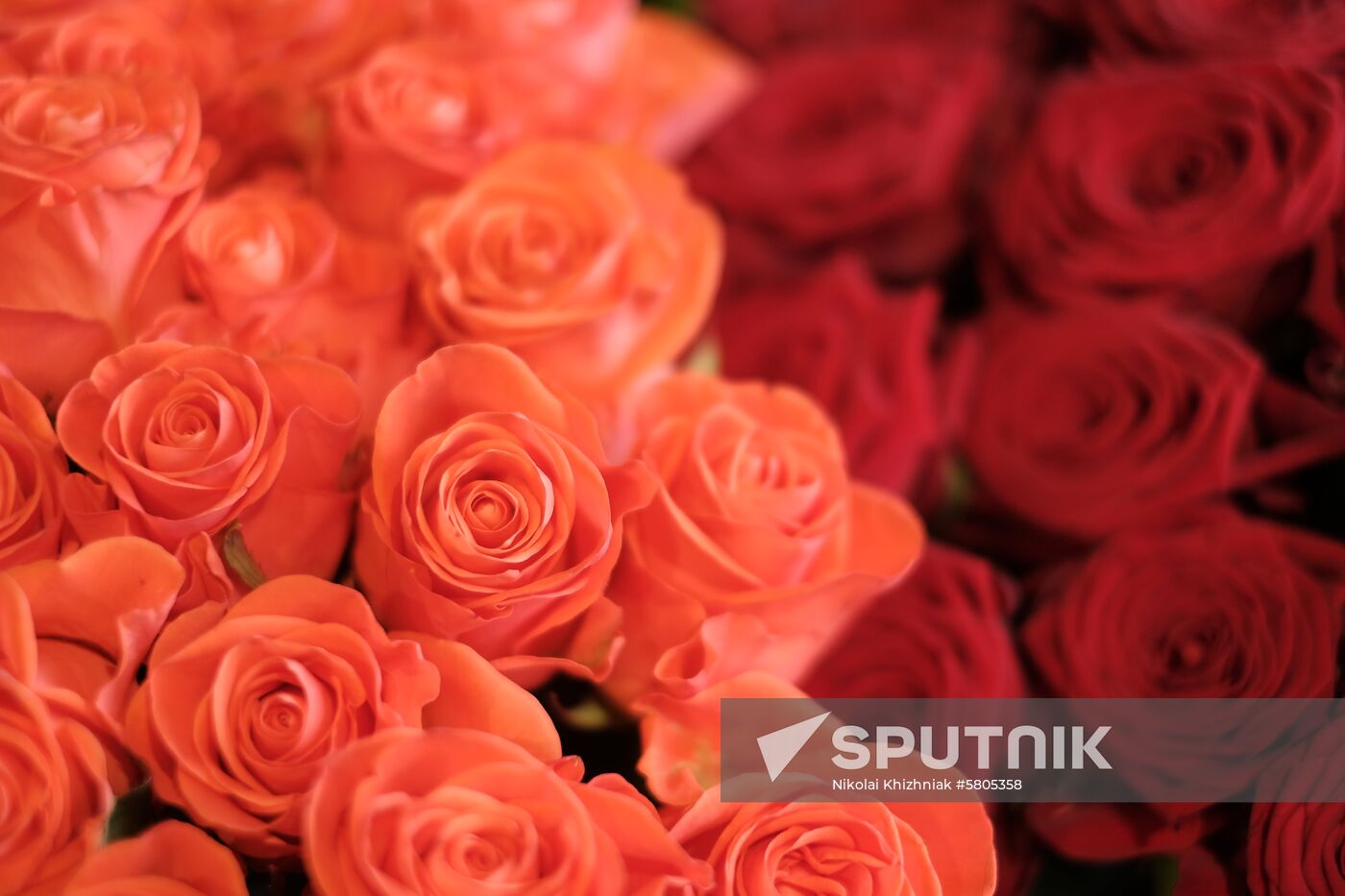 Russia Flowers On Sale