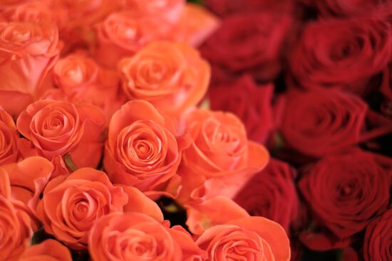 Russia Flowers On Sale