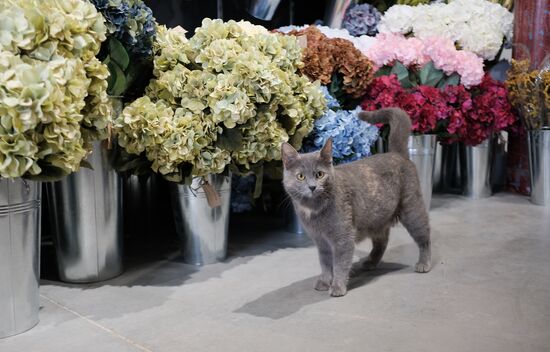 Russia Flowers On Sale