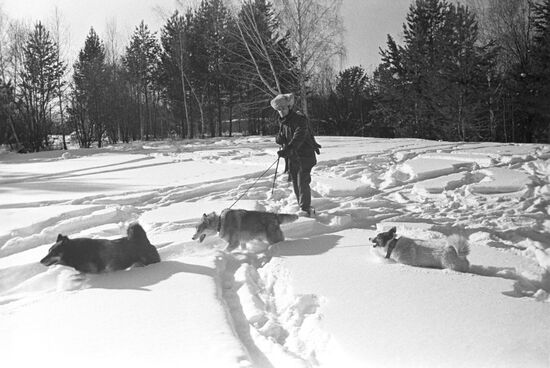 Game warden of Krasnoyarsk Territory's game reserve