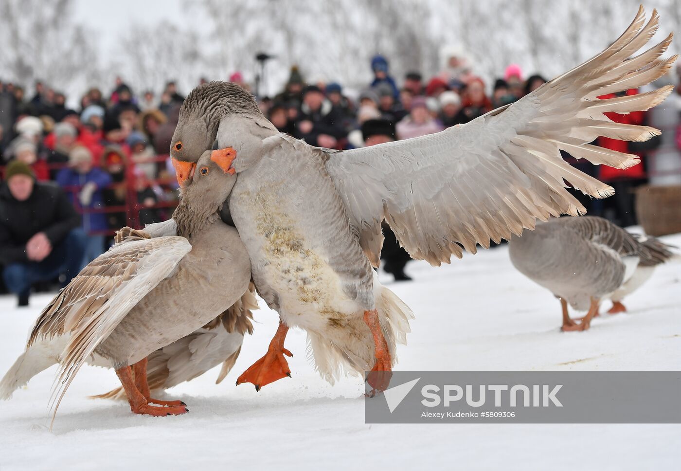 Russia Pancake Week
