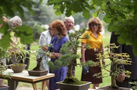 Bonsai Art exhibition at VDNKh