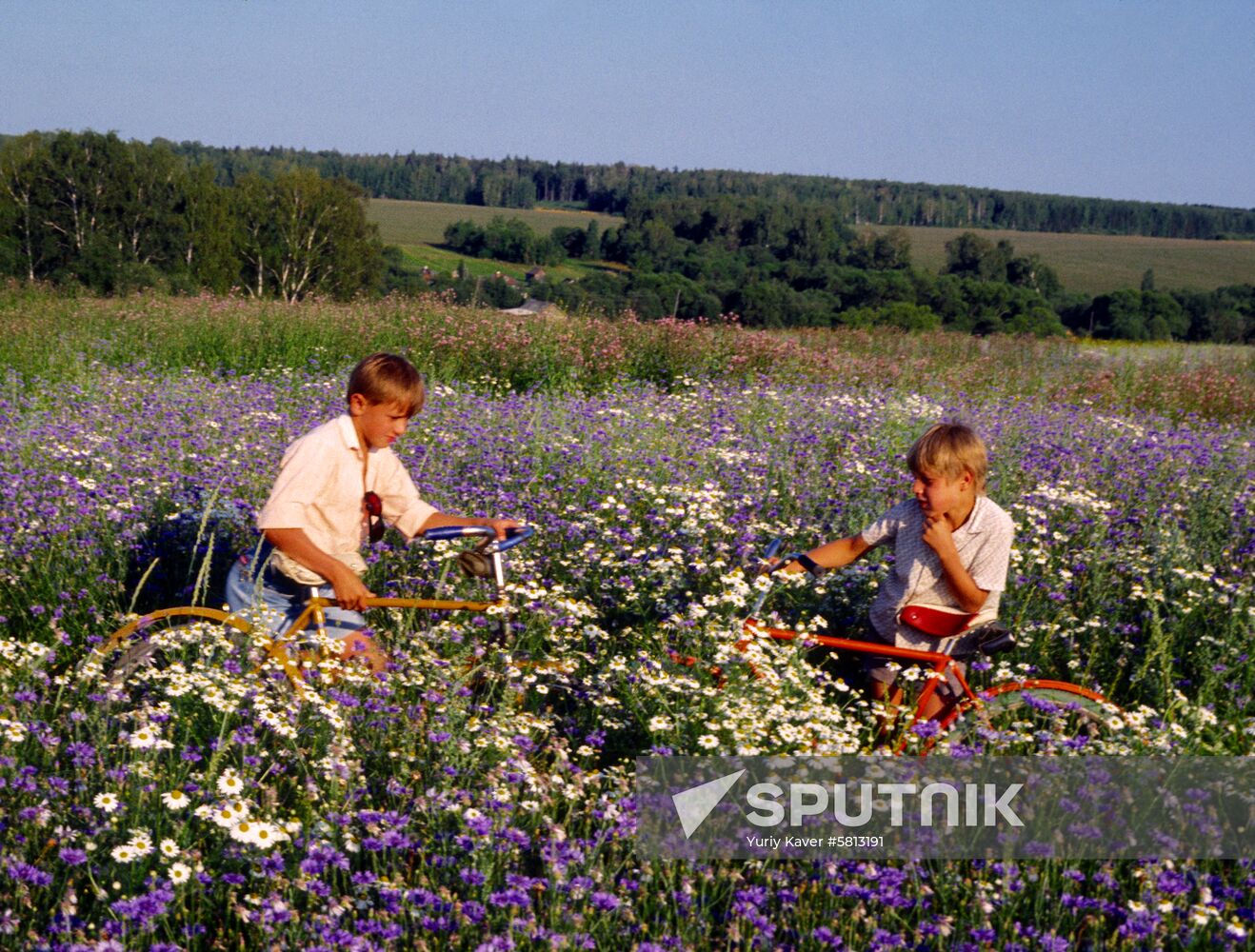 Field near Prokhorovka