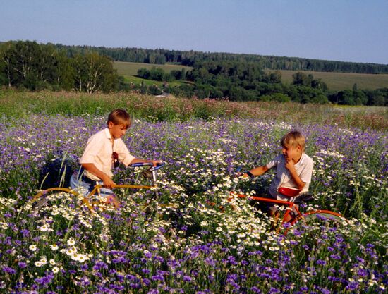 Field near Prokhorovka