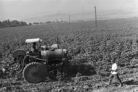 Communism collective farm