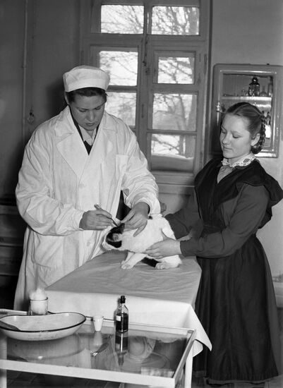 Blue Cross vet clinic