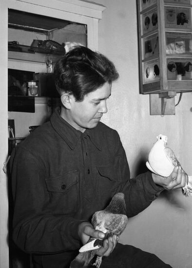 Blue Cross vet clinic