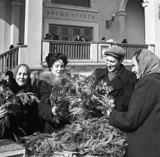 Selling mimosa plants at Moscow's Central Marketplace
