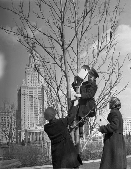Muscovites mounting birdhouses in MSU park