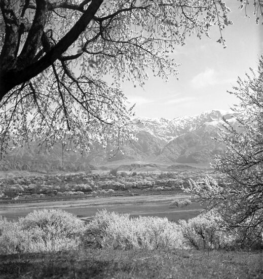 Fergana Valley in Tajikistan