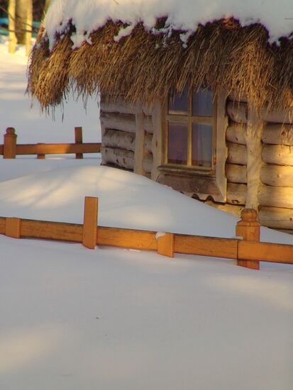 Log cabin on the outskirt