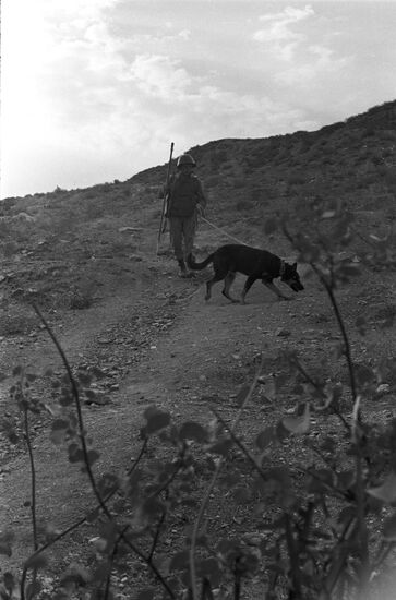 Limited contingent of Soviet troops in Afghanistan