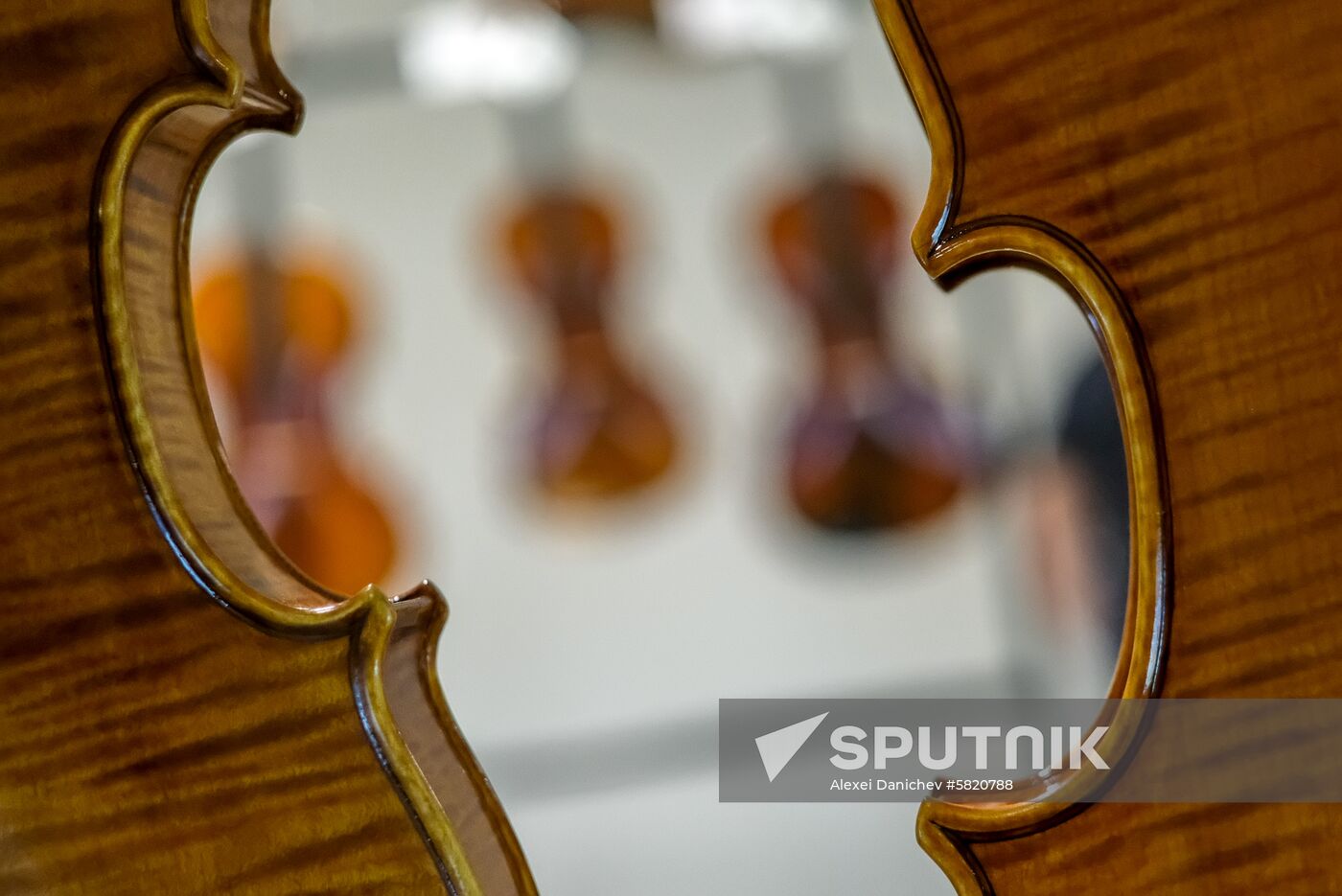 Russia Violin Exhibition