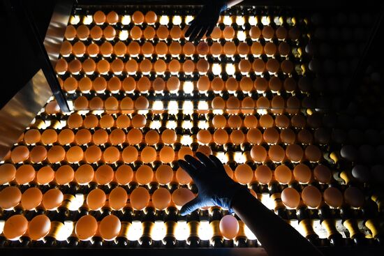 Russia Poultry Plant