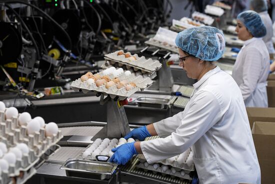 Russia Poultry Plant