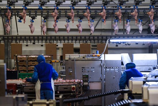 Russia Poultry Plant