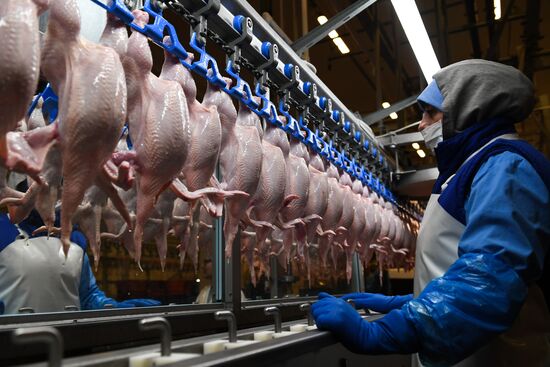Russia Poultry Plant