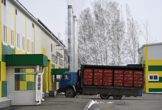 Russia Poultry Plant