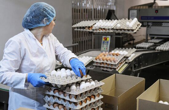 Russia Poultry Plant