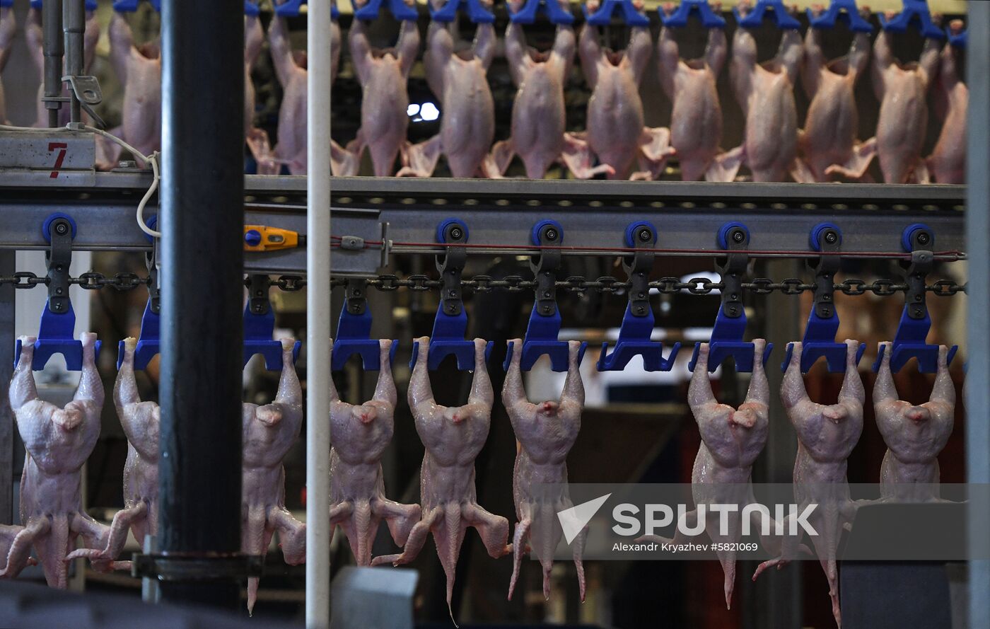 Russia Poultry Plant