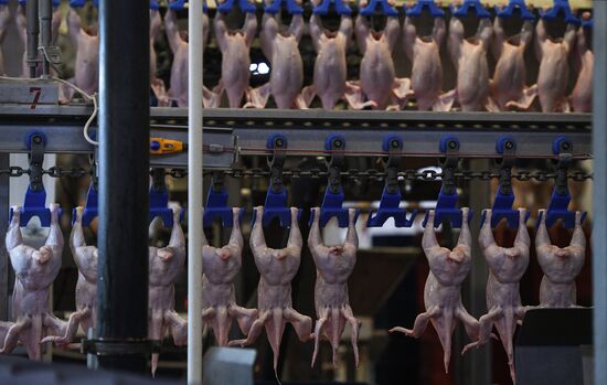 Russia Poultry Plant