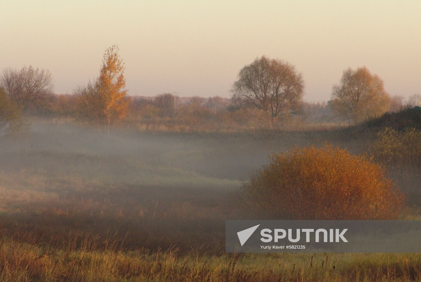 Foggy morning