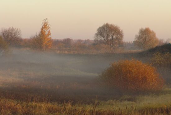 Foggy morning