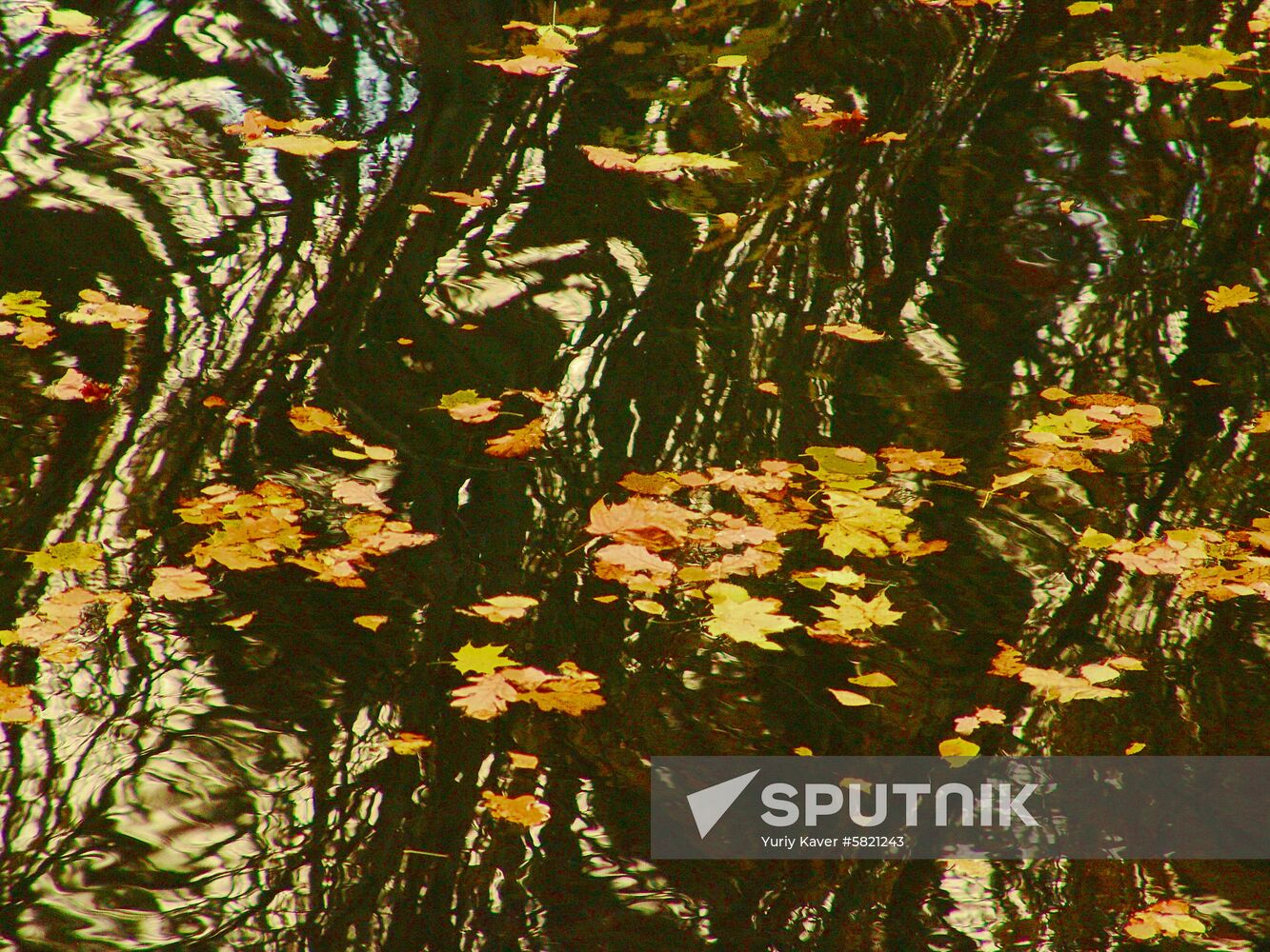 Autumn Music