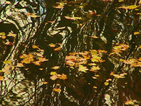 Autumn Music