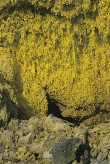 Crystals formed from sulfur vapors