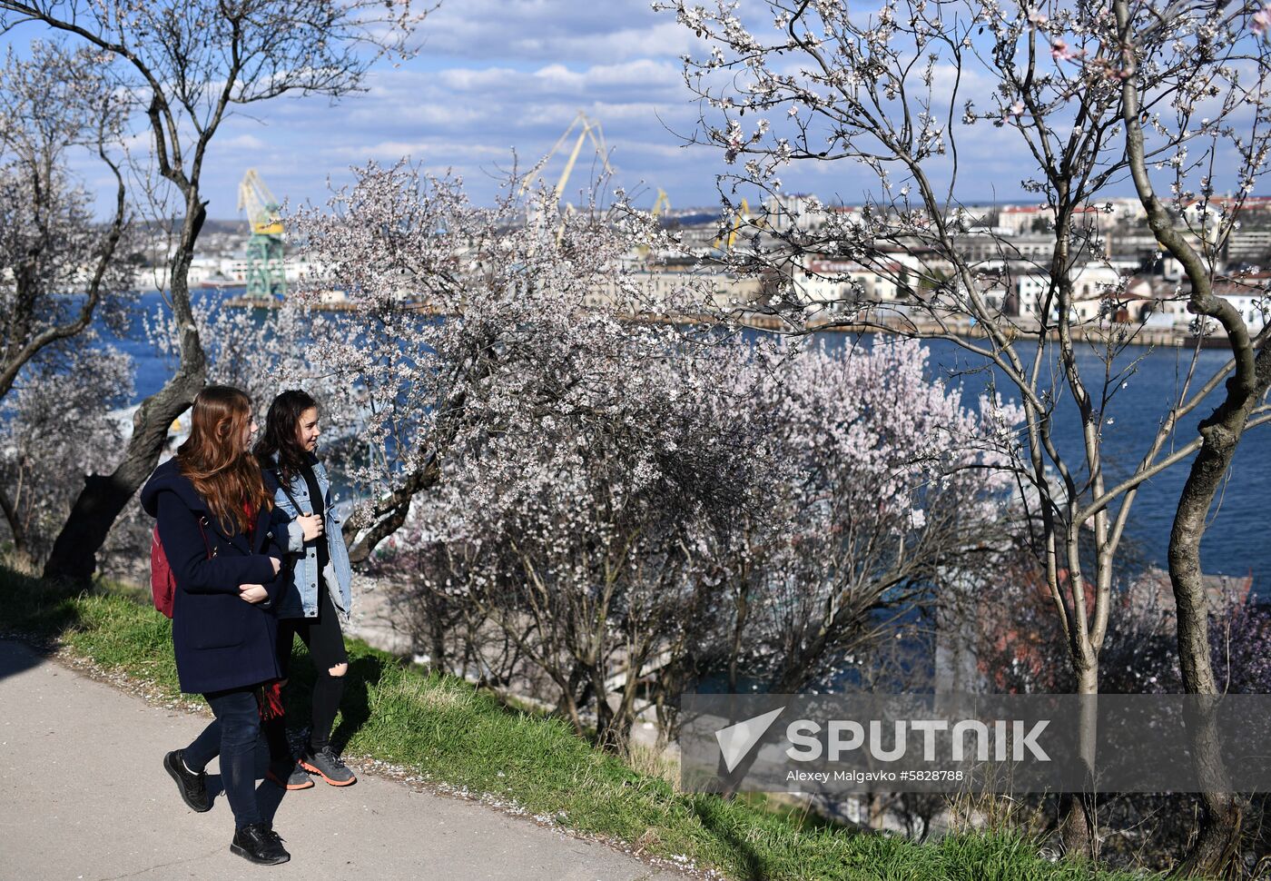 Russia Crimea Weather