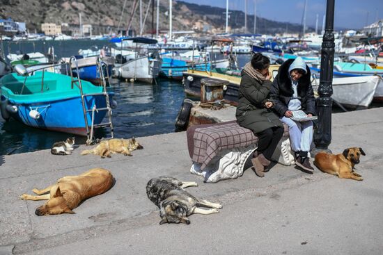 Russia Crimea Weather