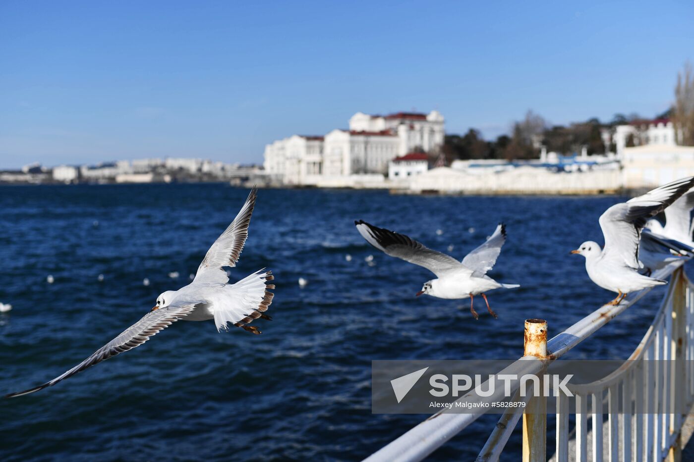 Russia Crimea Weather