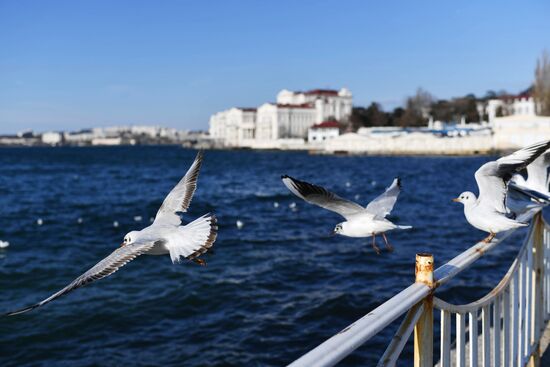 Russia Crimea Weather