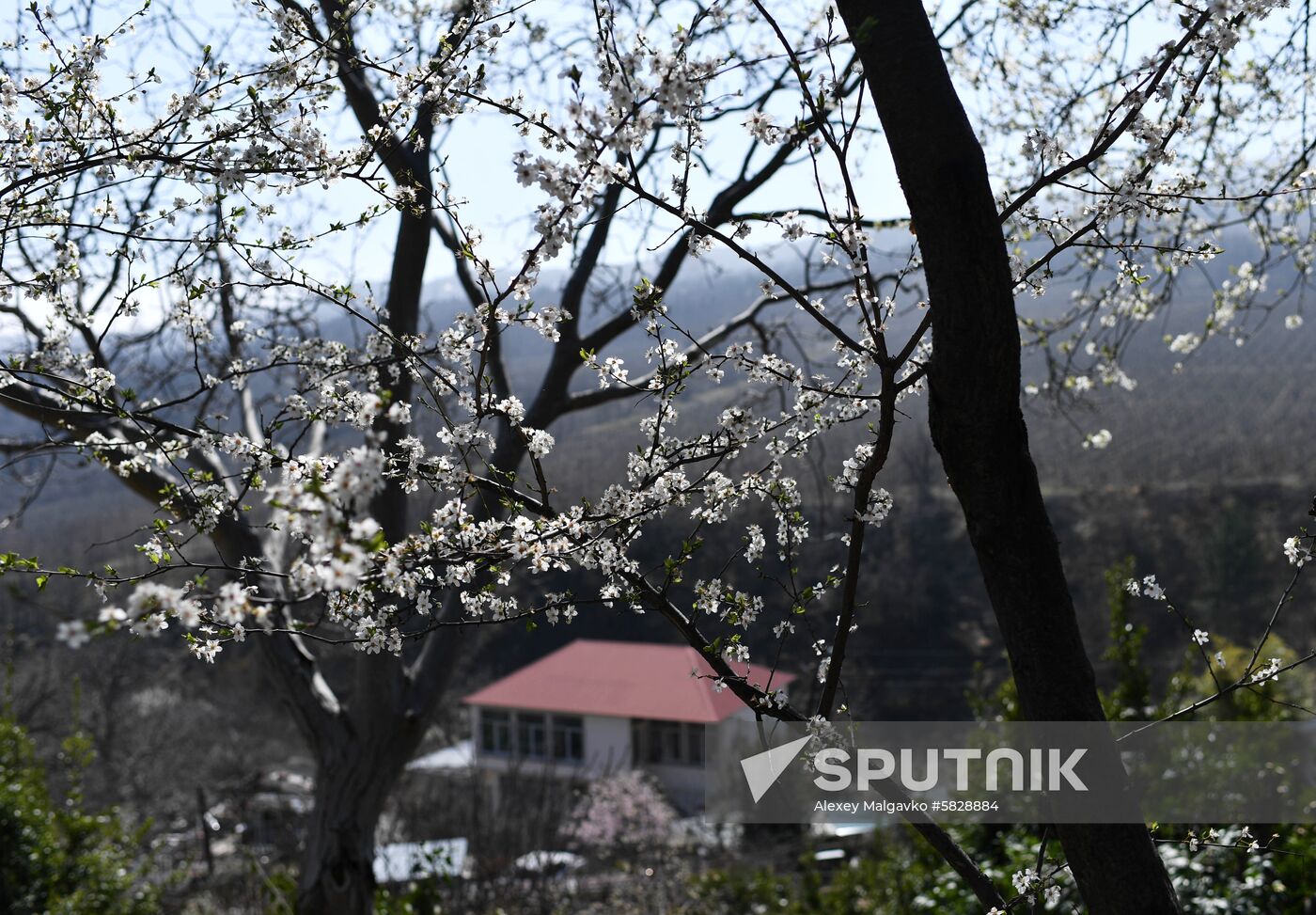 Russia Crimea Weather