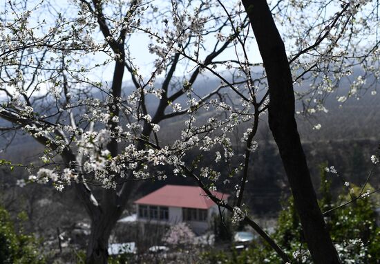 Russia Crimea Weather