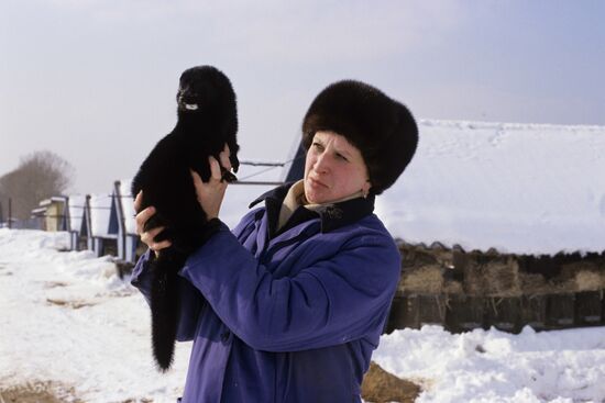Ust-Udinsk fur farm