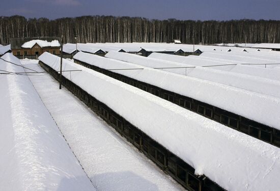Ust-Udinsk fur farm