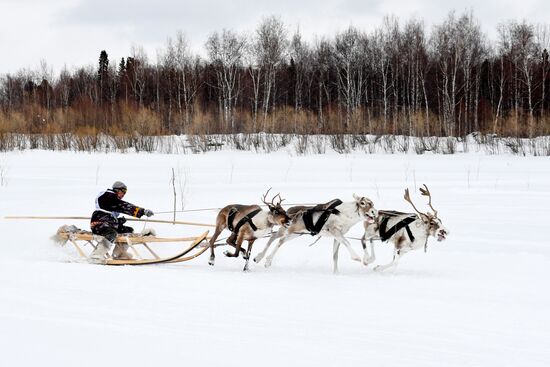 Russia Reindeer Herder Day 