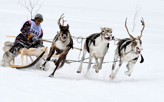 Russia Reindeer Herder Day 