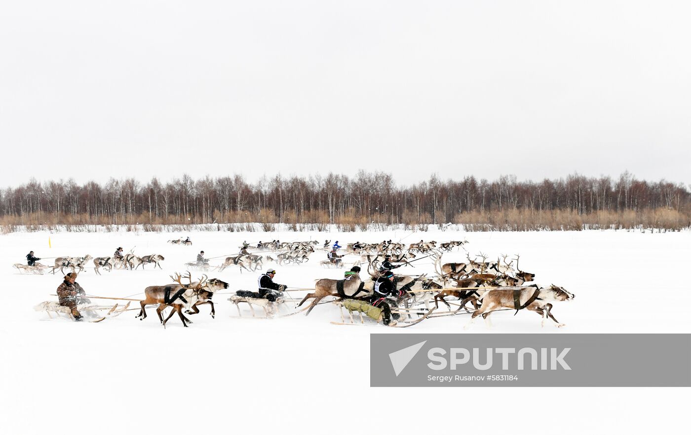 Russia Reindeer Herder Day