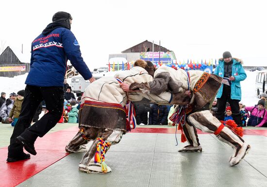 Russia Reindeer Herder Day 