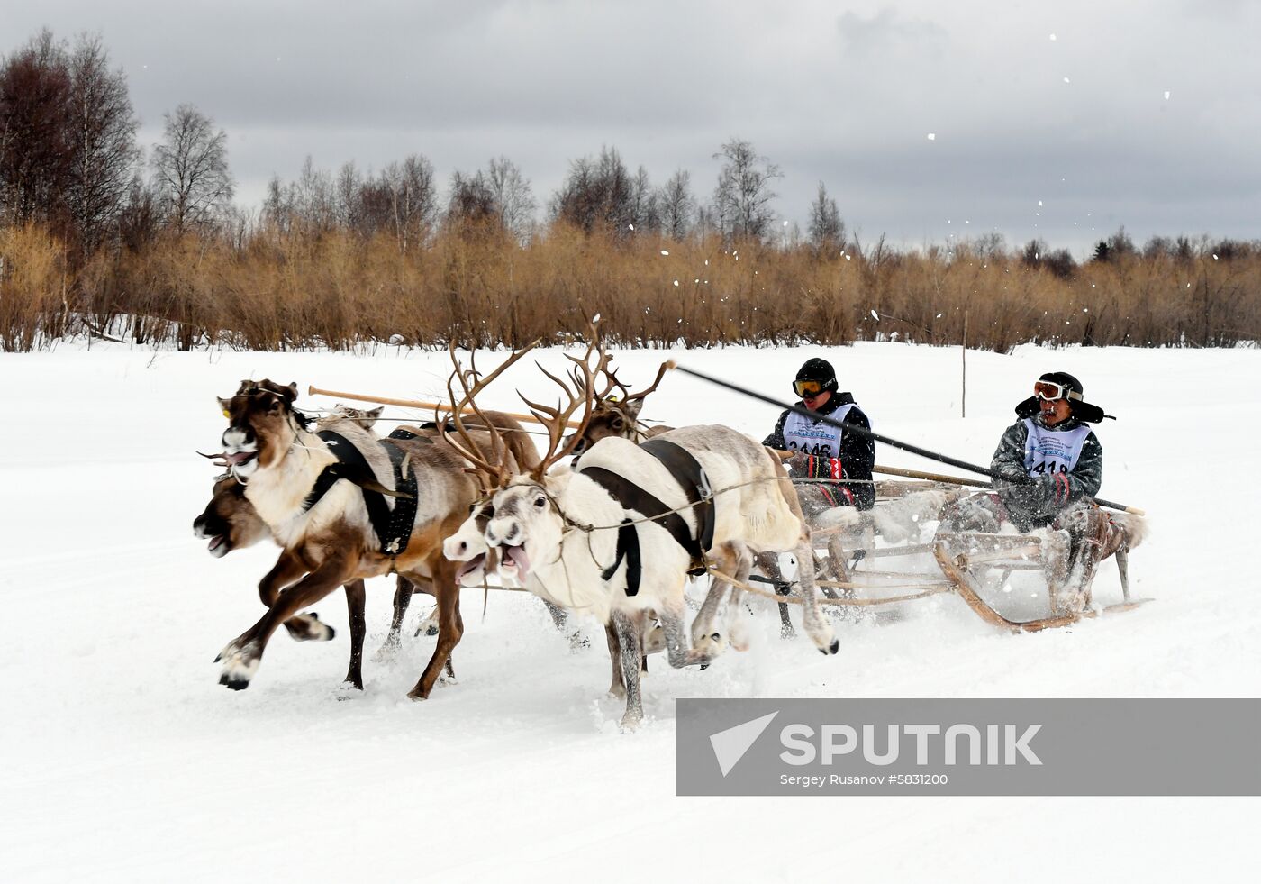 Russia Reindeer Herder Day 